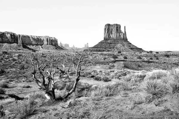 Monument Valley: Monument Valley VI by Philippe Hugonnard