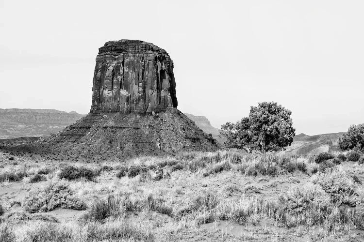 Black Arizona Series - Monument Valley VIII