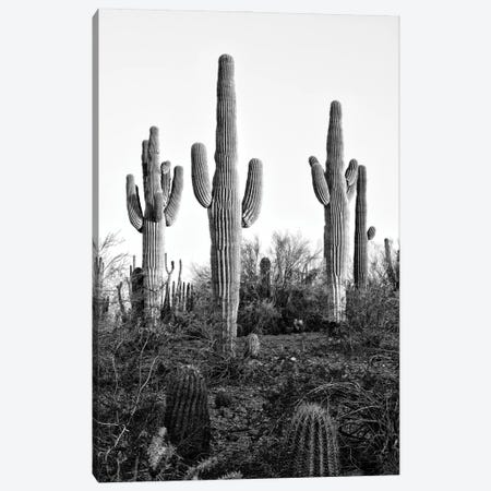 Black Arizona Series - Saguaro Cactus XII Canvas Print #PHD1666} by Philippe Hugonnard Canvas Artwork