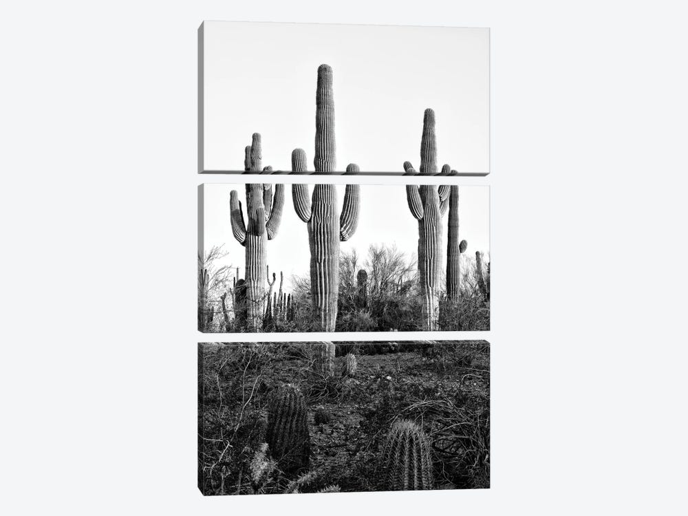 Black Arizona Series - Saguaro Cactus XII by Philippe Hugonnard 3-piece Canvas Art
