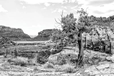 Black Arizona Series - Desert Valley by Philippe Hugonnard canvas print