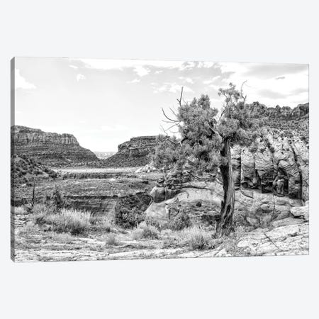 Black Arizona Series - Desert Valley Canvas Print #PHD1669} by Philippe Hugonnard Canvas Art Print