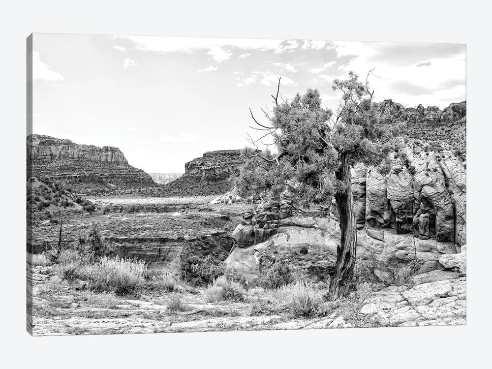 Black Arizona Series - Desert Valley by Philippe Hugonnard 1-piece Canvas Art Print