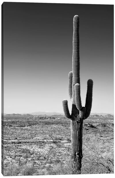 Black Arizona Series - One Cactus Canvas Art Print - All Black Collection