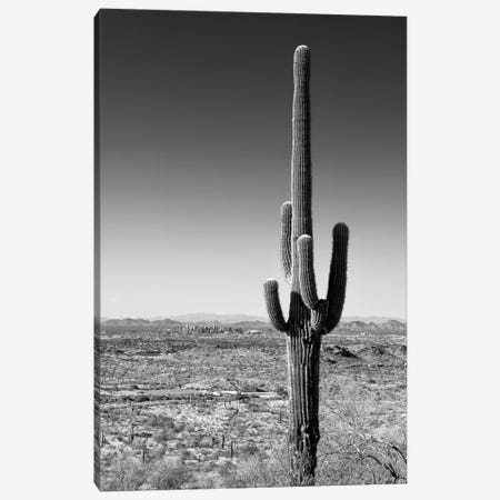 Black Arizona Series - One Cactus Canvas Print #PHD1684} by Philippe Hugonnard Canvas Wall Art