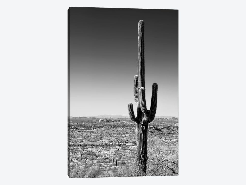 Black Arizona Series - One Cactus by Philippe Hugonnard 1-piece Canvas Art