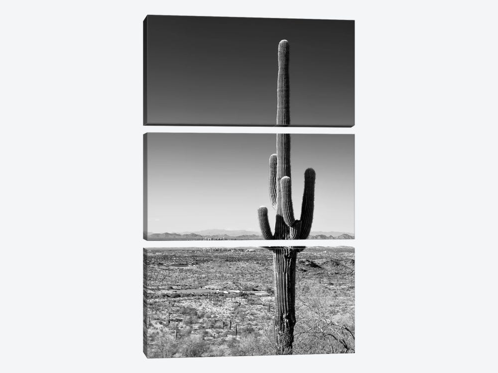 Black Arizona Series - One Cactus by Philippe Hugonnard 3-piece Canvas Artwork
