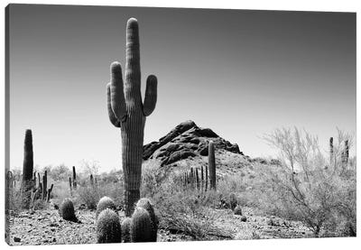 Black Arizona Series - Lost In The Desert Canvas Art Print - Philippe Hugonnard