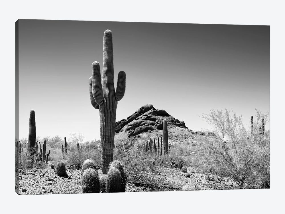 Black Arizona Series - Lost In The Desert by Philippe Hugonnard 1-piece Canvas Art