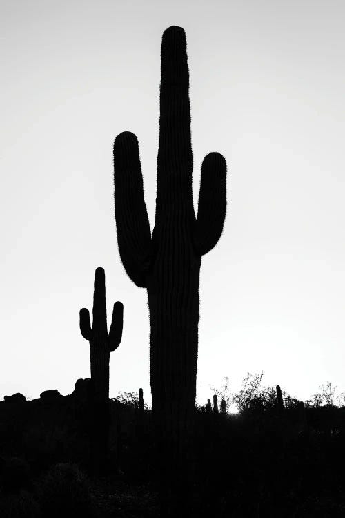 Black Arizona Series - Silhouettes