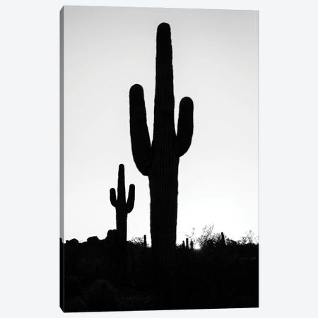 Black Arizona Series - Silhouettes Canvas Print #PHD1687} by Philippe Hugonnard Canvas Artwork