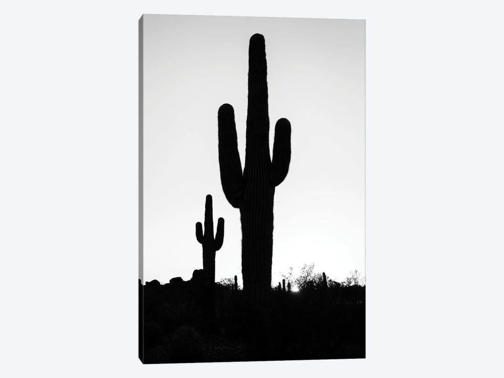Black Arizona Series - Silhouettes by Philippe Hugonnard 1-piece Art Print