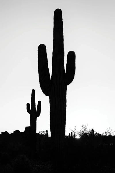 Silhouettes