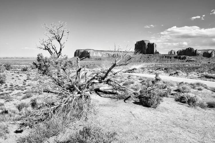 Black Arizona Series -Beautiful Monument Valley Navajo Tribal Park