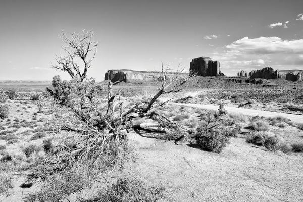 Valleys: Black Arizona Series -Beautiful Monument Valley Navajo Tribal Park by Philippe Hugonnard