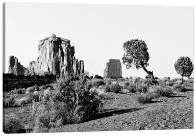 Black Arizona Series -Beautiful Monument Valley Navajo Tribal Park II Canvas Art Print - All Black Collection