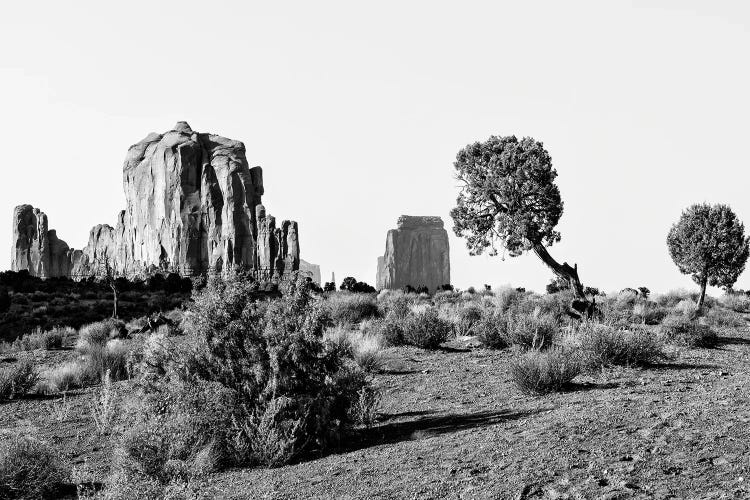 Black Arizona Series -Beautiful Monument Valley Navajo Tribal Park II