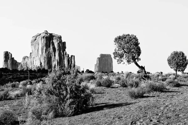 Valleys: Black Arizona Series -Beautiful Monument Valley Navajo Tribal Park II by Philippe Hugonnard