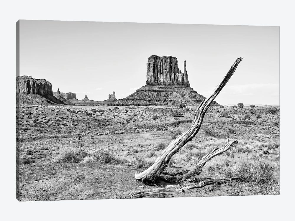 Black Arizona Series - Dry Tree by Philippe Hugonnard 1-piece Art Print