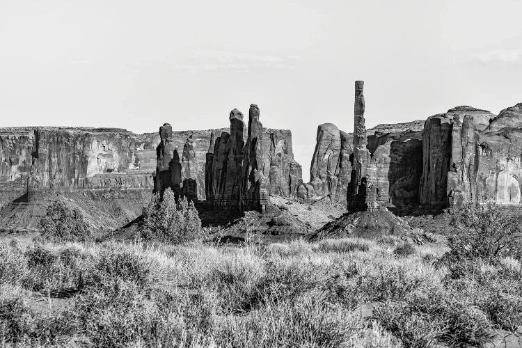 Black Arizona Series - Yei Bei Chi Totems Rock Formation