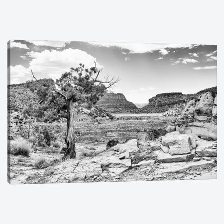 Black Arizona Series - Far In The Valley Canvas Print #PHD1706} by Philippe Hugonnard Canvas Print