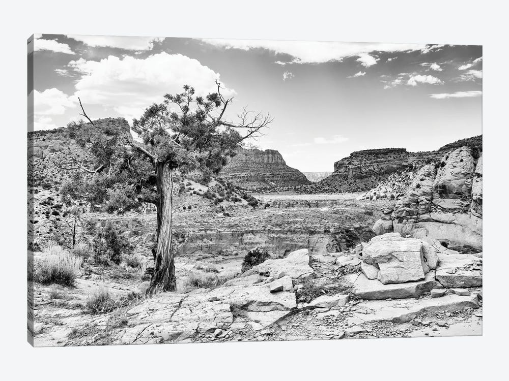 Black Arizona Series - Far In The Valley 1-piece Art Print