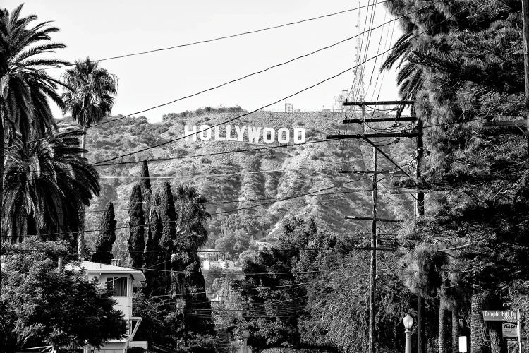 Black California Series - Hollywood Sign