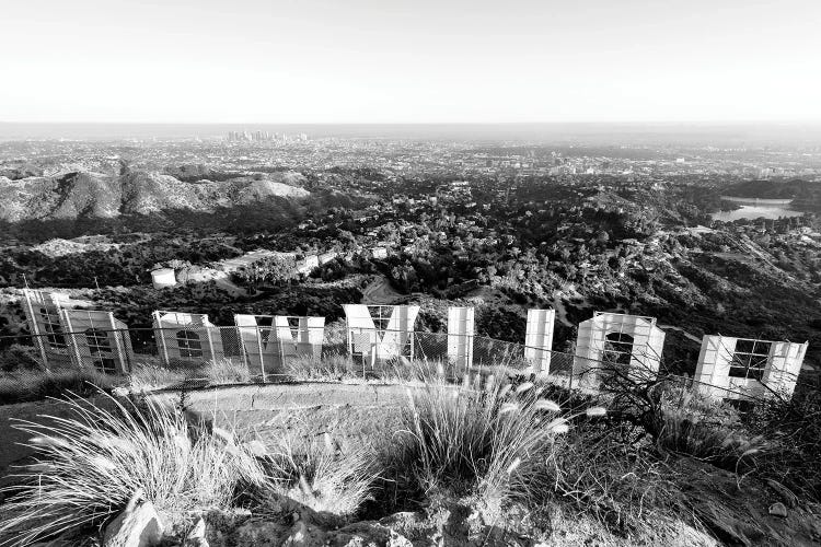 Black California Series - Back Hollywood Sign