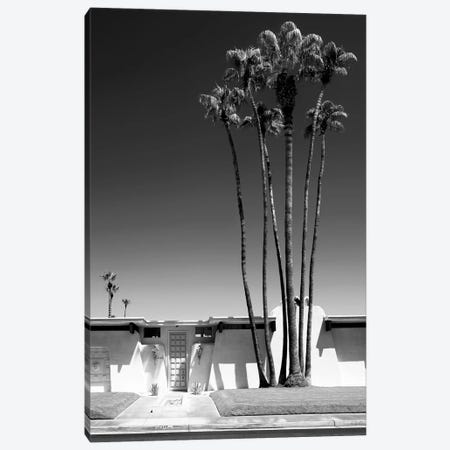 Black California Series - Palm Springs Canvas Print #PHD1731} by Philippe Hugonnard Canvas Print