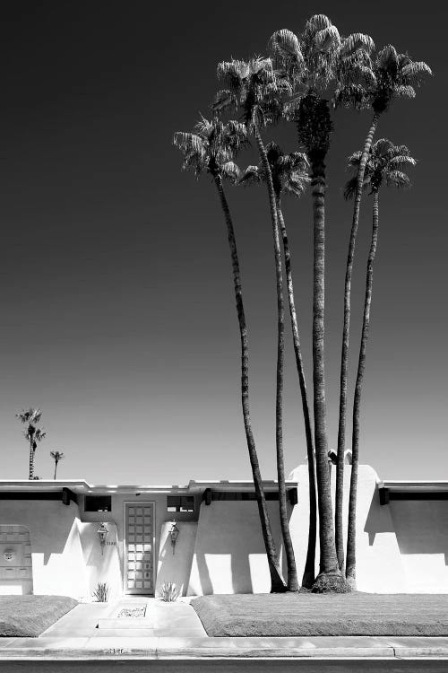 Black California Series - Palm Springs