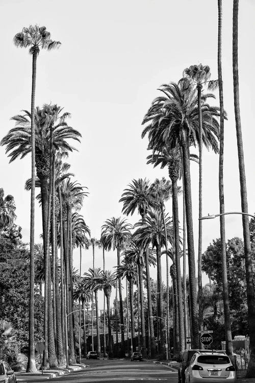 Black California Series - Los Angeles Downtown