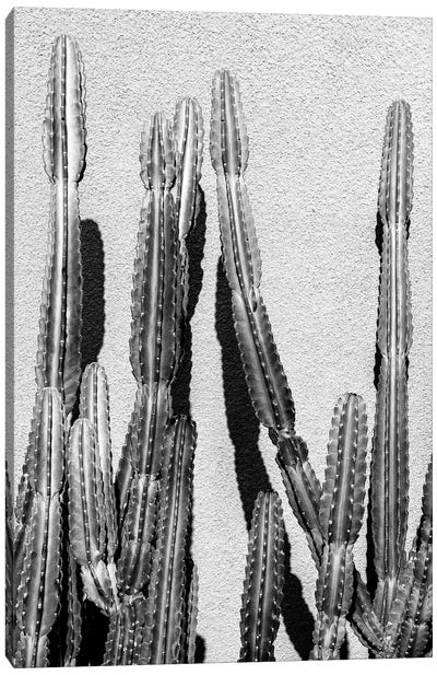 Black California Series - Cactus Canvas Art Print - All Black Collection