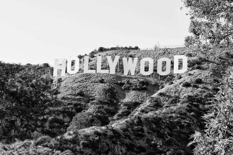Black California Series - The Hollywood Sign by Philippe Hugonnard wall art