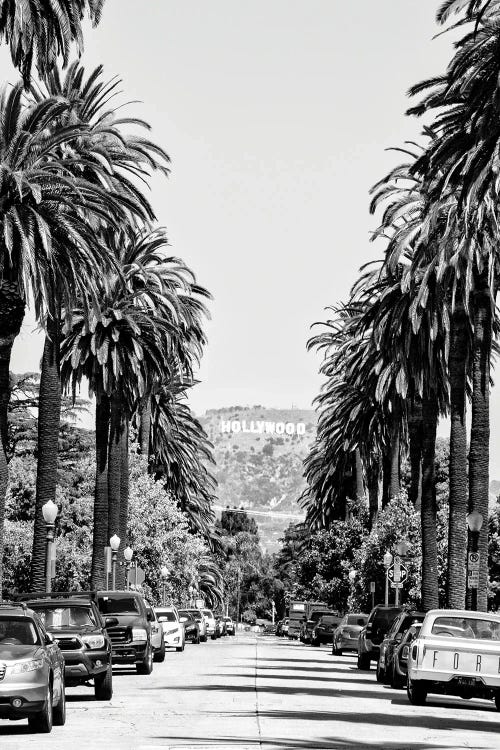 Black California Series - Downtown Los Angeles