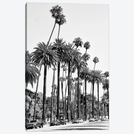 Black California Series - L.A's Palm Trees Canvas Print #PHD1745} by Philippe Hugonnard Canvas Art Print