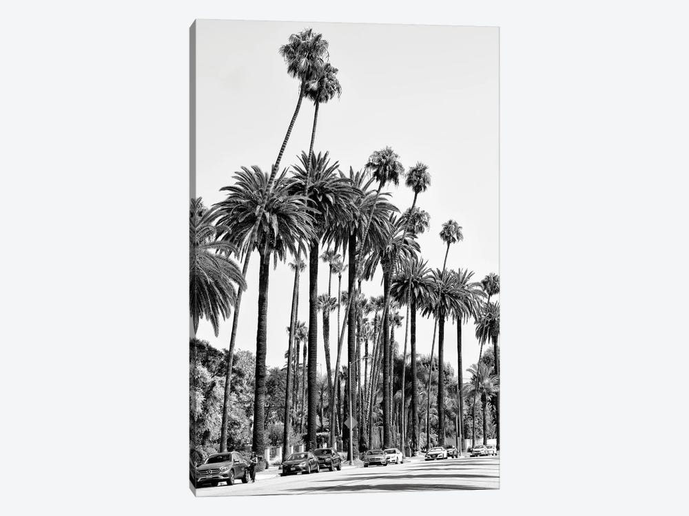 Black California Series - L.A's Palm Trees by Philippe Hugonnard 1-piece Canvas Artwork