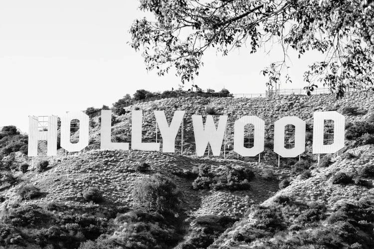 Black California Series - Los Angeles Hollywood Sign