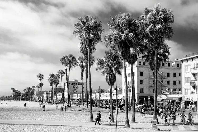 Black California Series - Venice On The Beach