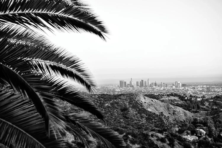 Black California Series - View Of Los Angeles