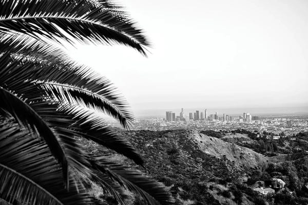 Los Angeles: Black California Series - View Of Los Angeles by Philippe Hugonnard