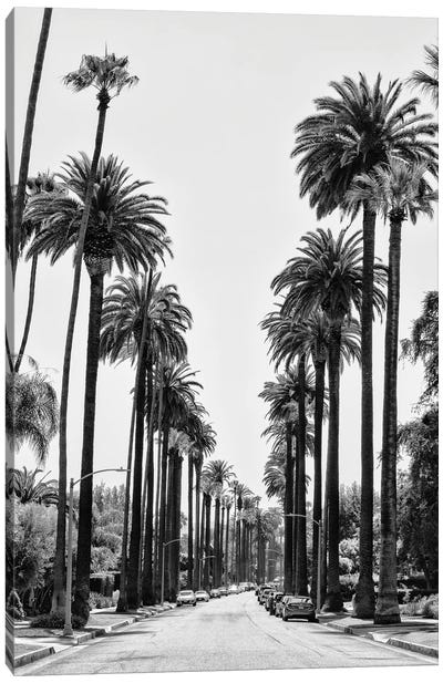 Black California Series - Beverly Hills Canvas Art Print - All Black Collection