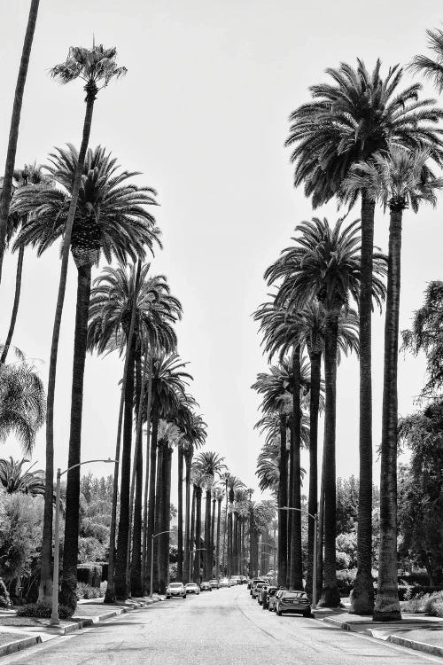 Black California Series - Beverly Hills