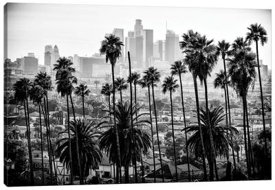 Black California Series - Los Angeles Skyline Canvas Art Print - Palm Tree Art