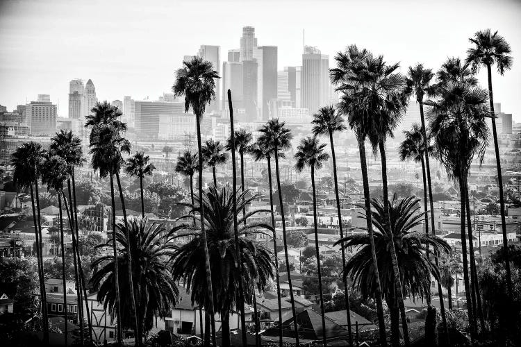 Black California Series - Los Angeles Skyline