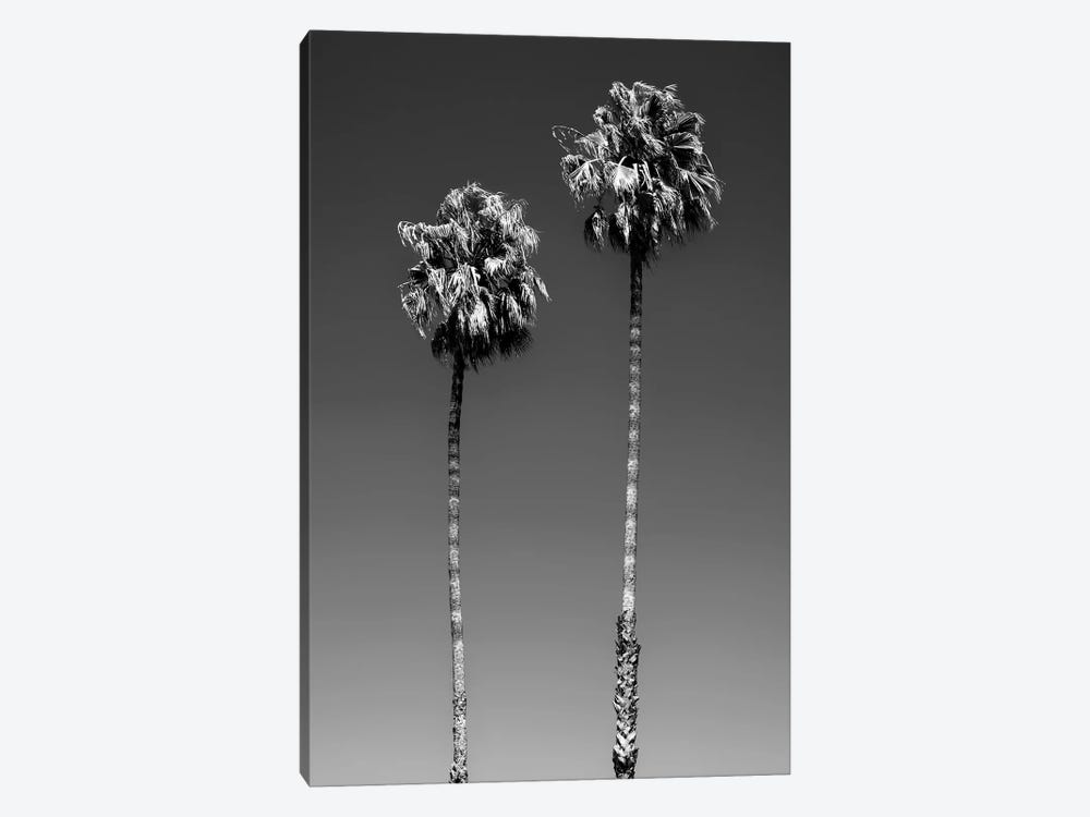 Black California Series - Beverly Hills Palm Trees by Philippe Hugonnard 1-piece Canvas Print