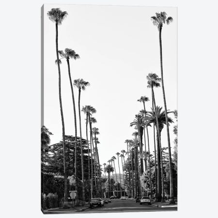 Black California Series - Palm Tree-Lined Street In Beverly Hills Canvas Print #PHD1774} by Philippe Hugonnard Canvas Artwork
