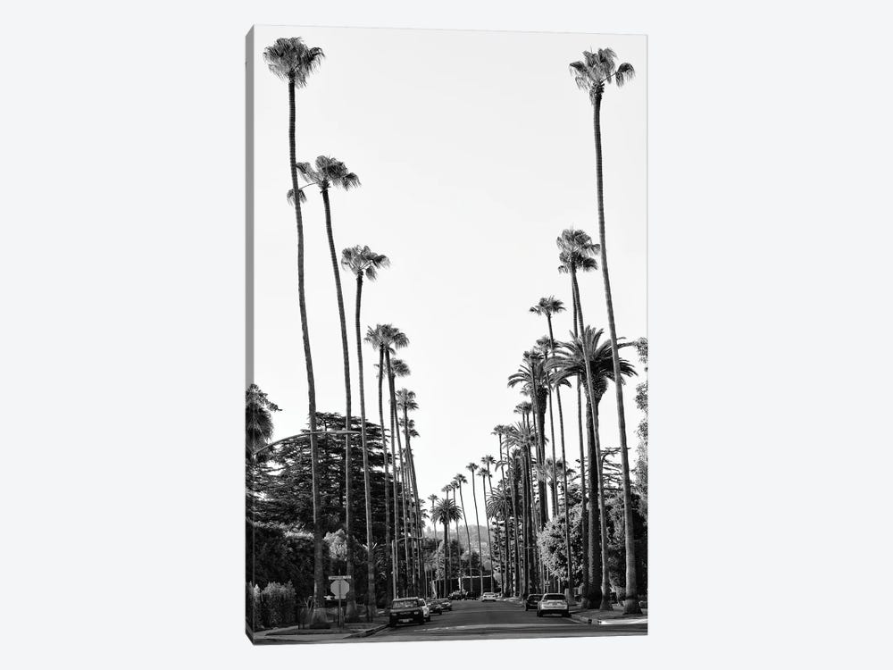 Black California Series - Palm Tree-Lined Street In Beverly Hills by Philippe Hugonnard 1-piece Canvas Artwork