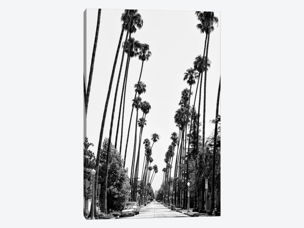 Black California Series - Palm Trees Road by Philippe Hugonnard 1-piece Art Print