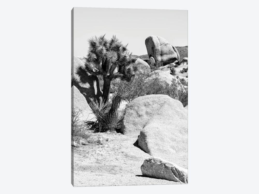 Black California Series - Joshua Tree Bouldering by Philippe Hugonnard 1-piece Art Print