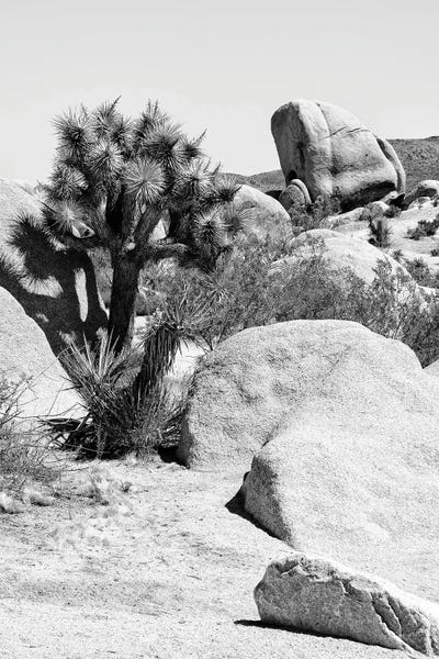 Joshua Tree Bouldering